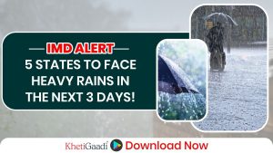 IMD Weather Alert: Intense Rain & Snow to Blanket North India Travel Plans at Risk!