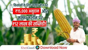 मक्का किसानों को बीज पर ₹15,000 प्रति क्विंटल सब्सिडी से लाभ मिलेगा, जानें राज्य सरकार की योजना!