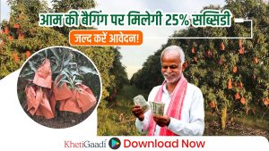 किसानों को आम की बैगिंग पर मिलेगी 25% सब्सिडी,जानें आवेदन प्रक्रिया!