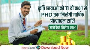 11वीं से PhD तक की छात्राओं को कृषि पढ़ाई पर सरकार देगी वार्षिक सहायता,जानें कैसे मिलेगा लाभ!