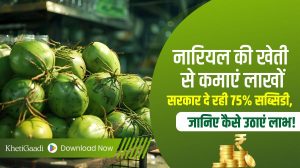 नारियल की खेती से कमाएं बड़ा मुनाफा, सरकार से मिलेगी 75% सब्सिडी, ऐसे करें आवेदन!