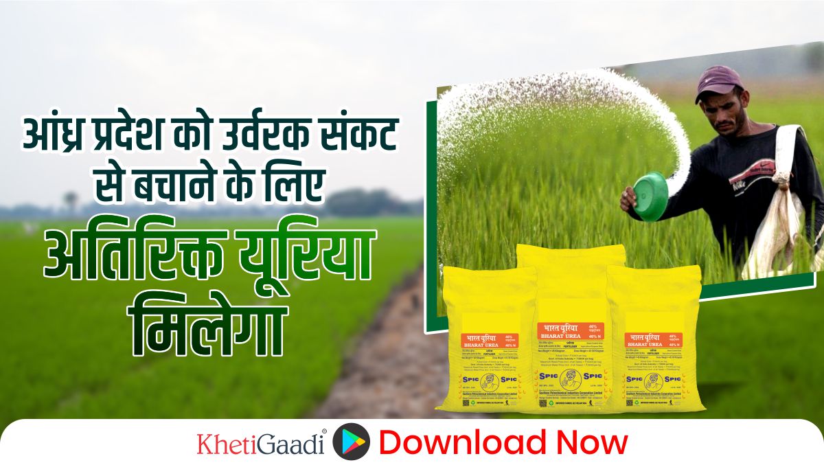andhra-pradesh-distribute-additional-urea-for-farmers