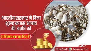 भारतीय सरकार ने बिना शुल्क कपास आयात की अवधि को 31 दिसंबर तक बढ़ा दिया है