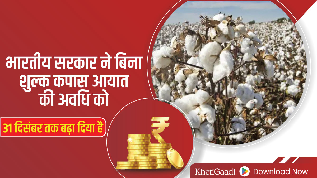 भारतीय सरकार ने बिना शुल्क कपास आयात की अवधि को 31 दिसंबर तक बढ़ा दिया है