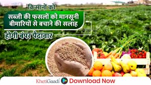 किसानों को सब्जी की फसलों को मानसूनी बीमारियों से बचाने की सलाह, होगी बंपर पैदावार