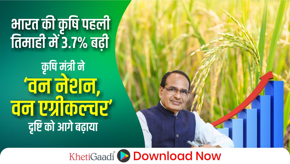 भारत की कृषि पहली तिमाही में 3.7% बढ़ी; चौहान ने ‘वन नेशन, वन एग्रीकल्चर’ दृष्टि को आगे बढ़ाया
