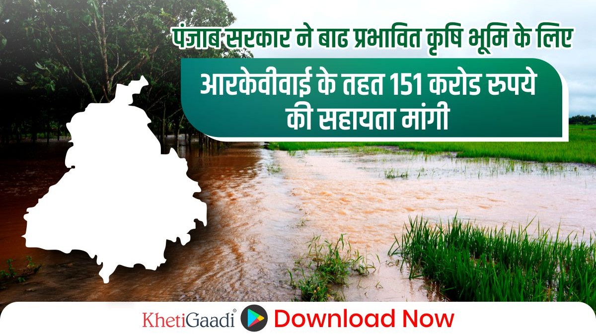 पंजाब सरकार ने बाढ़ प्रभावित कृषि भूमि के लिए आरकेवीवाई के तहत 151 करोड़ रुपये की सहायता मांगी
