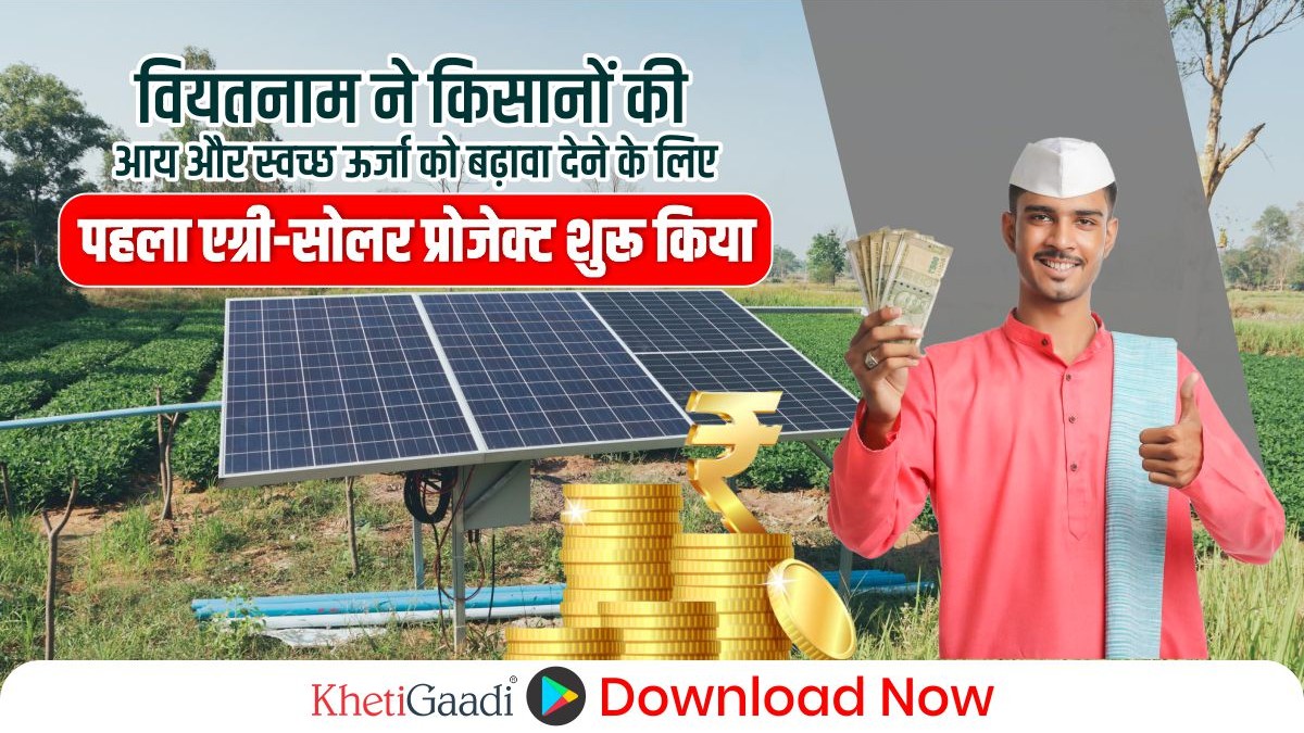 वियतनाम ने किसानों की आय और स्वच्छ ऊर्जा को बढ़ावा देने के लिए पहला एग्री-सोलर प्रोजेक्ट शुरू किया