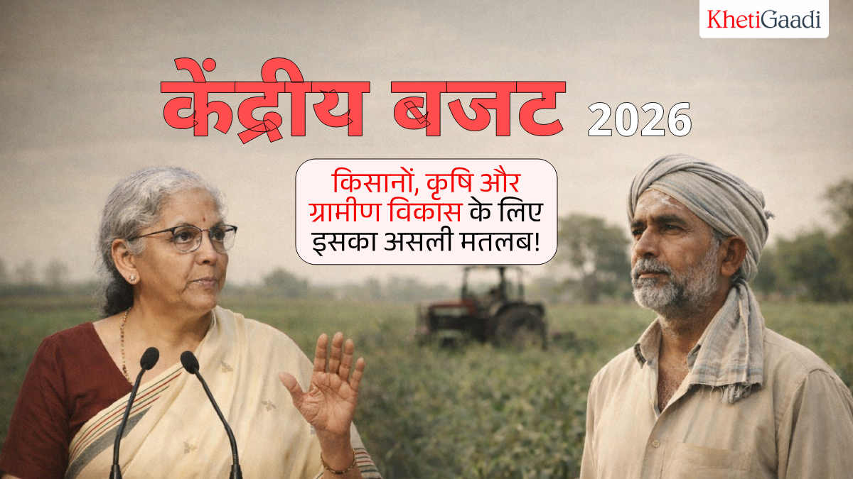 केंद्रीय बजट 2026: किसानों, कृषि और ग्रामीण विकास के लिए इसका असली मतलब