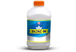 Siltac -80 250 ml