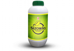 Sizowin(Fruit Size) 500ml