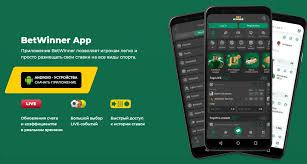 Explore BetWinner Casino Your Ultimate Gaming Destination