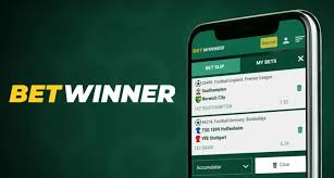 Explore BetWinner Casino Your Ultimate Gaming Destination